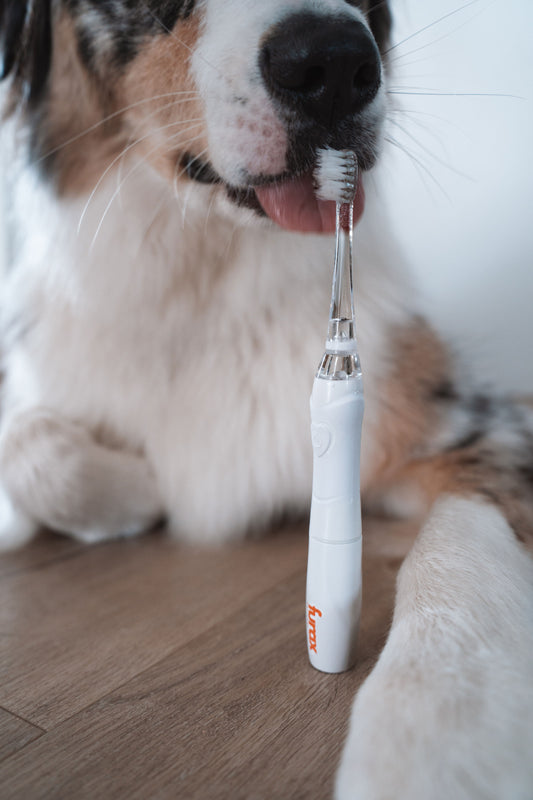 Sonic Toothbrush
