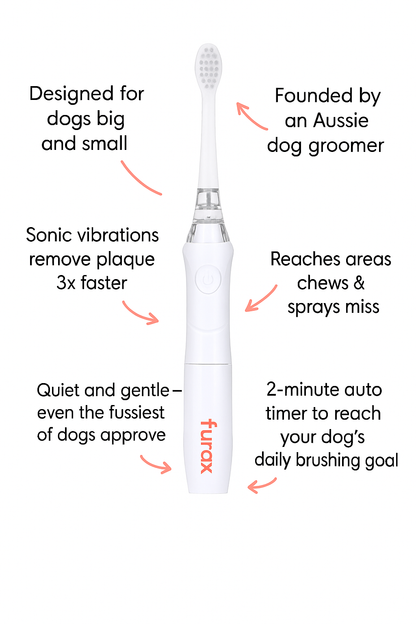 Sonic Toothbrush